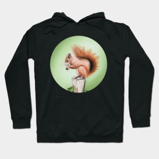 Red Squirrel Painting Hoodie